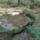 A large sarsen stone at West Woods.